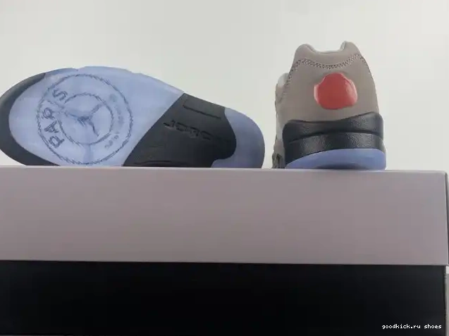 x Air DX6325-204 Low PSG Jordan 5 0528